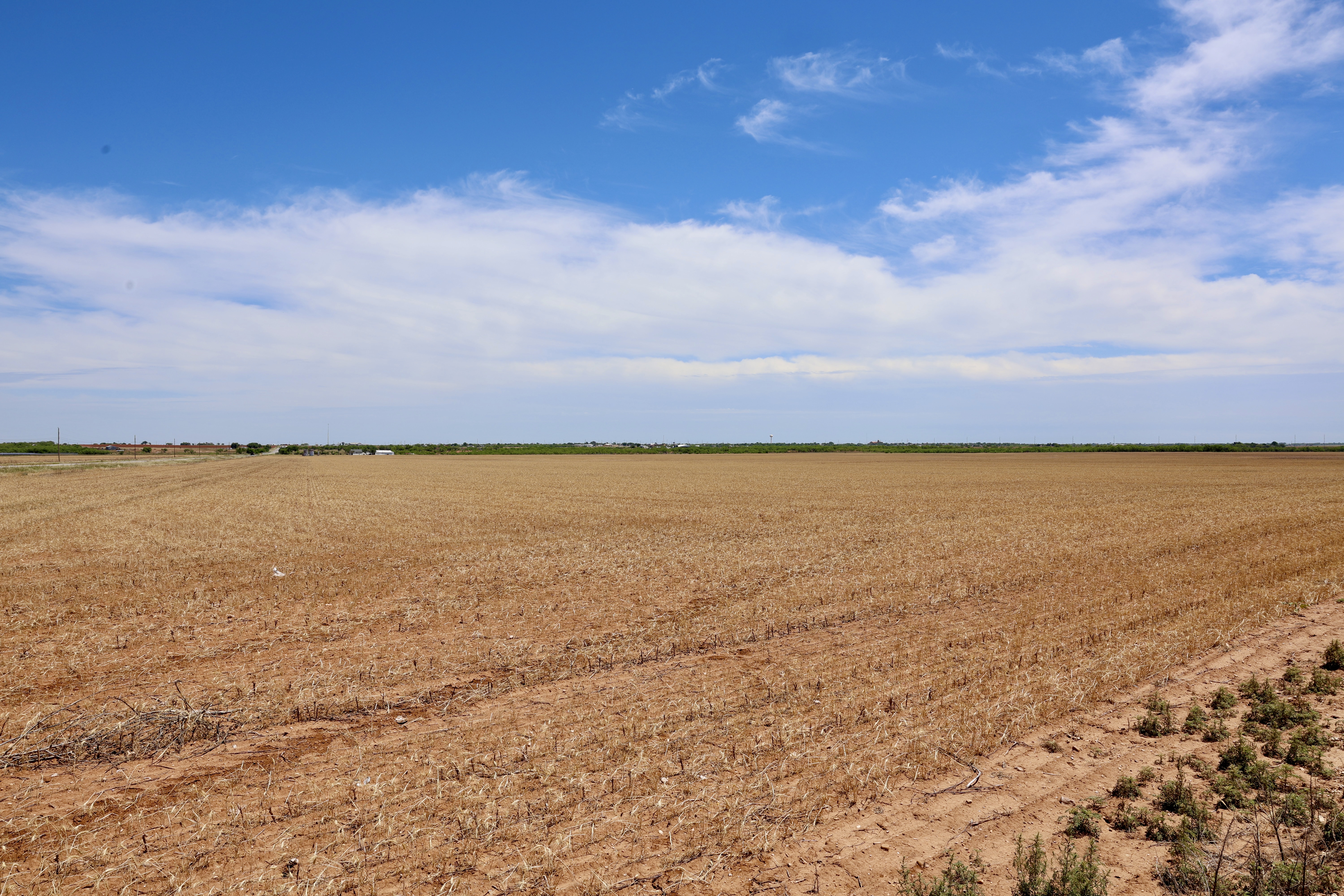 ReDew Anson land — view from the northwest corner of the parcel