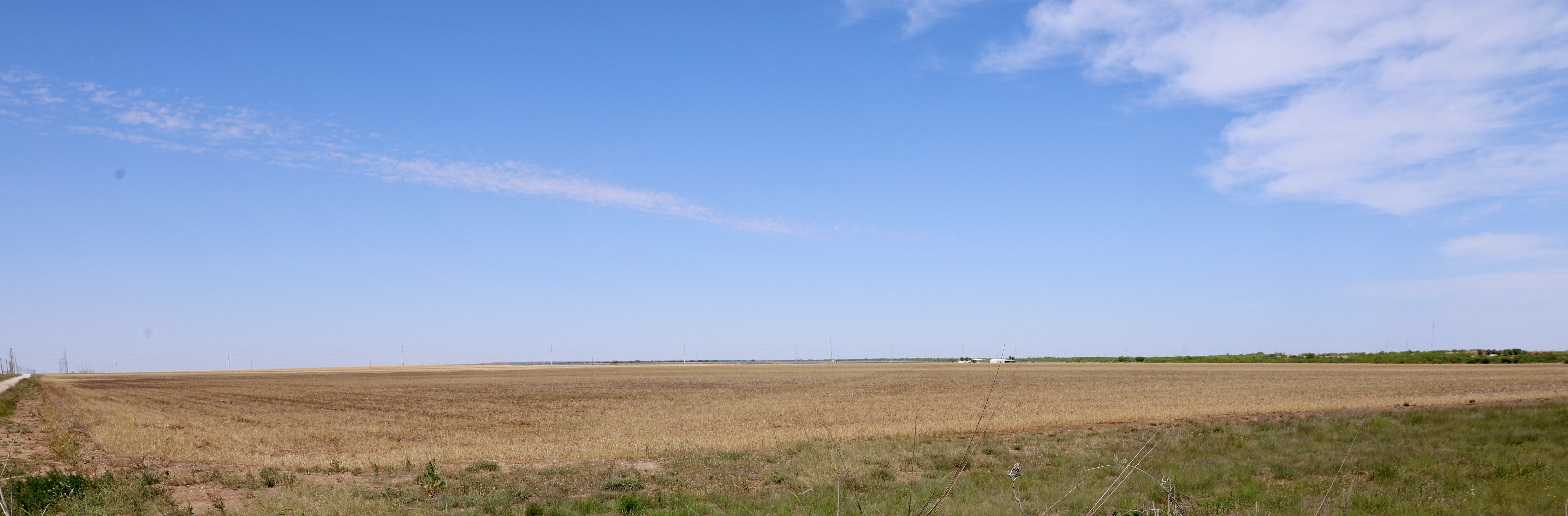 The ReDew Anson land — panorama from the southwest corner, Jones County, Texas